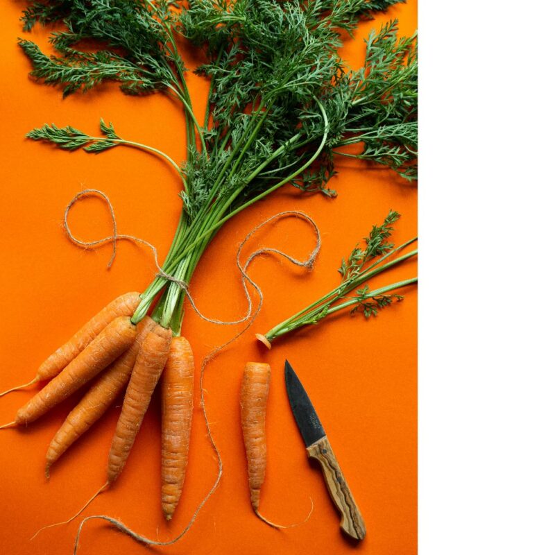 Faire son huile de carotte ! | JJ Cosmétique végétale